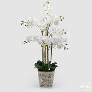 EDG Enzo De Gasperi Orquídea Phalaenopsis x8 con Capullo y Jarrón Planta Artificial H 90 Cm Blanco