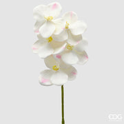 EDG Enzo De Gasperi Orquídea Vanda Rama H 65 Cm Planta Artificial Marfil