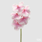 EDG Enzo De Gasperi Orquídea Vanda Rama H 65 Cm Planta Artificial Blanco Rosa