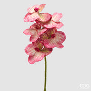 EDG Enzo De Gasperi Orquídea Vanda Rama H 65 Cm Planta Artificial Rosa