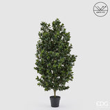 edg enzo de gasperi edg enzo de gasperi pianta artificiale agrifoglio h 157 cm con vaso anti uv verde per interno ed esterno ean 8059824655356