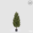 edg enzo de gasperi edg enzo de gasperi pianta artificiale cipresso h 120 cm verde con vaso anti uv per interno ed esterno ean 8059824655424