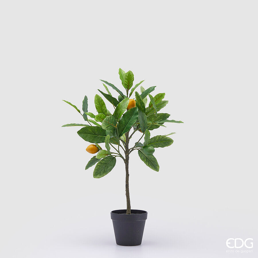 edg enzo de gasperi edg enzo de gasperi pianta artificiale di limoni con vaso h 56 cm green mix ean 8059824355898