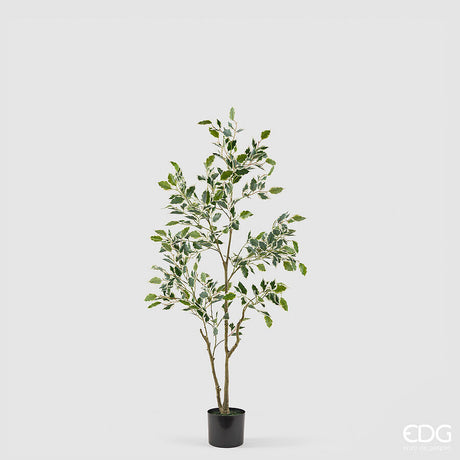 edg enzo de gasperi edg enzo de gasperi pianta artificiale ficus vogue con vaso h120 cm pianta decorativa realistica design moderno ean 8059824655226
