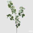 edg enzo de gasperi edg enzo de gasperi ramo eucalipto h 110 cm verde ean 8059824617651