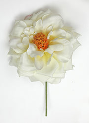 Línea Due Elle Rosa Spray D 11 Cm con Tallo Beige 6 Uds