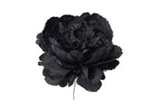 ARPIMEX Pick Peonia Singola Nero