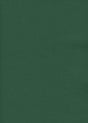 immagine-1-saul-sadoch-carta-regalo-ecocolor-h-070-mt-l-25-mt-verde-ean-8006715079838