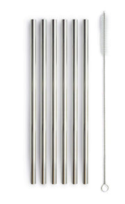 Conjunto WD LifeStyle 6 Pajitas de Acero Inoxidable H 21 Cm con Cepillo Color Plata