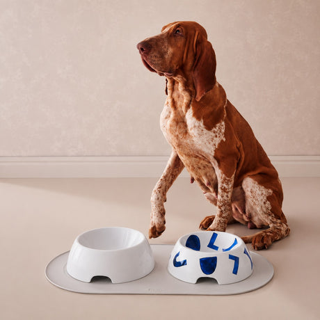 alessi alessi ciotola acqua cani in porcellana bianca samiro yunoki large d 25 cm ean 8003299503506