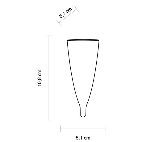 brevetti waf brevetti waf flute glass 10 cl plastica trasparente 1 pz ean 8005778003552