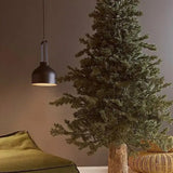 edg enzo de gasperi base tronco per pino h65d32 18kg natural