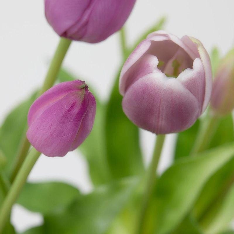 edg enzo de gasperi edg enzo de gasperi bouquet di 5 tulipani chiusi gomma olis ass h 40 cm lilac 1 pz ean 8059824081865