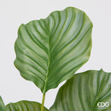 edg enzo de gasperi edg enzo de gasperi calathea cespuglio x10 h 50 cm pianta artificiale verde ean 8059824634726