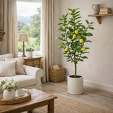 edg enzo de gasperi edg enzo de gasperi limone vogue x5 con vaso pianta artificiale h 160 cm verde giallo ean 8059824607416