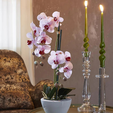 edg enzo de gasperi edg enzo de gasperi orchidea phalaenopsis real x2 con vaso h 50 cm pianta artificiale rosa ean 8054184927303