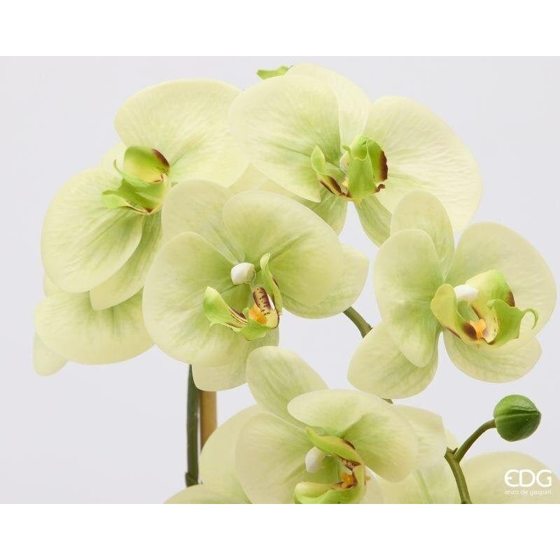 edg enzo de gasperi edg enzo de gasperi orchidea phalaenopsis x3 con bocciolo e vaso pianta artificiale h 65 cm verde ean 8059824669896