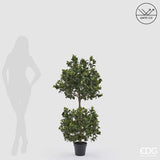 edg enzo de gasperi edg enzo de gasperi pianta artificiale agrifoglio h 140 cm con vaso anti uv verde per interno ed esterno ean 8059824655363