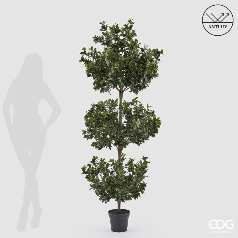 edg enzo de gasperi edg enzo de gasperi pianta artificiale agrifoglio h 188 cm con vaso anti uv verde per interno ed esterno ean 8059824655318