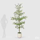 edg enzo de gasperi edg enzo de gasperi pianta artificiale bucida buceras vogue con vaso h240 cm pianta decorativa realistica design moderno ean 8059824655127