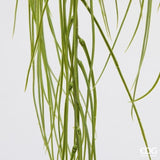 edg enzo de gasperi edg enzo de gasperi pianta artificiale erba palustre cadente h120 cm sage pianta decorativa realistica design moderno ean 8059824667861