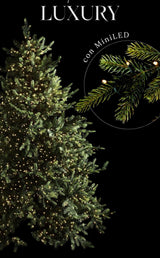 edg enzo de gasperi pino luxury h 180 cm d 136 cm con 3 000 led verde ean 8056372916663