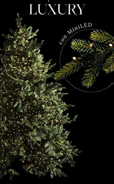 edg enzo de gasperi pino luxury h 300 cm d 186 cm con 7 000 led verde ean 8056372916717