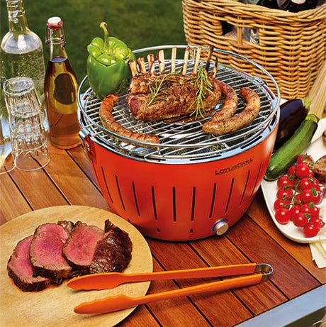 lotusgrill lotusgrill bricchetti carbone legno di faggio 3 kg ean 4260023012619