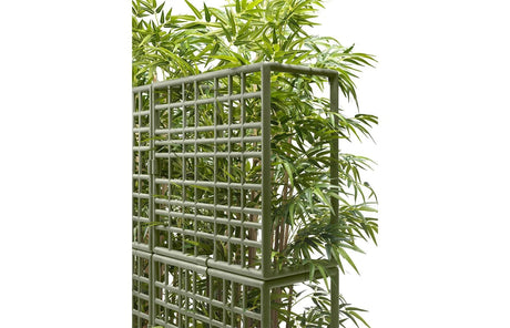 immagine-2-nardi-sipario-2-cactus-con-fioriera-auto-irrigante