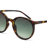 okkia okkia occhiale da sole premontato mod berlino classic havana ean 8056211371295