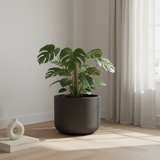 Interno minimal