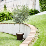immagine-2-teraplast-vaso-standard-one-bronzo-resina-50cm-8051560000971