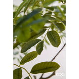 edg enzo de gasperi edg enzo de gasperi dalbergia vogue con vaso pianta artificiale h 240 cm verde ean 8059824607409