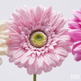 edg enzo de gasperi edg enzo de gasperi gerbera ramo ass h 60 cm d 12 cm pianta artificiale rosa crem 1 pz ean 8059824457028