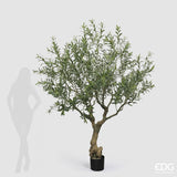 edg enzo de gasperi edg enzo de gasperi olivo con vaso h 230 cm pianta artificiale verde ean 8059824607492