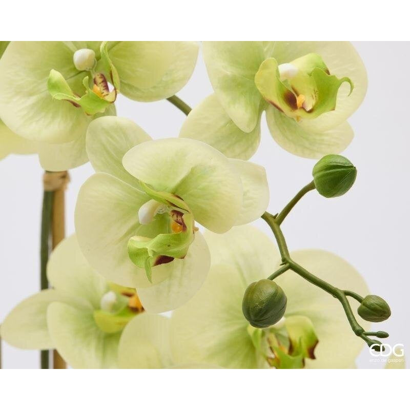 edg enzo de gasperi edg enzo de gasperi orchidea phalaenopsis x3 con bocciolo e vaso pianta artificiale h 65 cm verde ean 8059824669896
