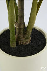 edg enzo de gasperi edg enzo de gasperi palma areca vogue con vaso pianta artificiale h 183 cm verde ean 8059824607393
