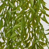 edg enzo de gasperi edg enzo de gasperi pianta artificiale ruscus cadente h 100 cm verde pianta decorativa realistica design moderno ean 8059824668066