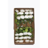 edg enzo de gasperi edg enzo de gasperi rosa alma olis 2 fg h 48 cm pianta artificiale bianco ean 8059824011985