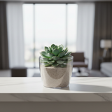Vaso rotondo trasparente lucido in plastica riciclabile, Ø18×H16 cm, 3,3 L. TeraPlast Madeira Luxy, UV, antimuffa, −30°/+60°C ean-8051560030961