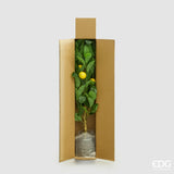 edg enzo de gasperi edg enzo de gasperi limone vogue x4 con vaso pianta artificiale h 97 cm verde giallo ean 8059824607454