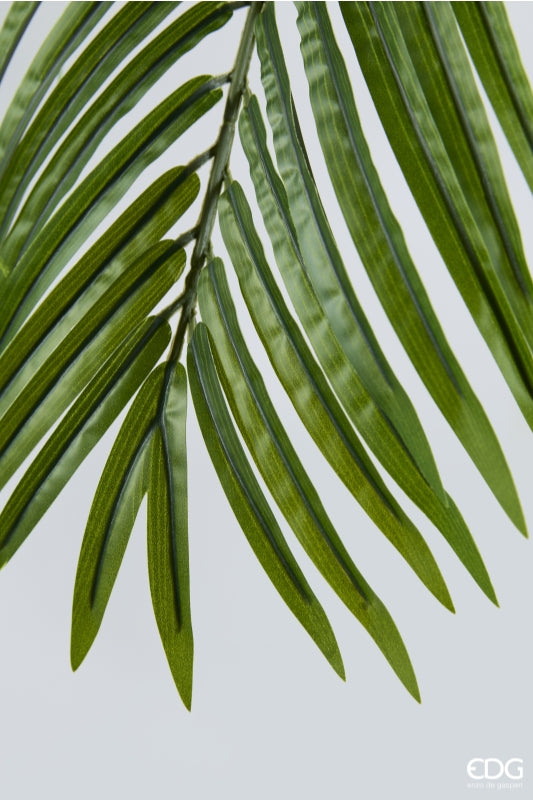 edg enzo de gasperi edg enzo de gasperi palma areca vogue con vaso pianta artificiale h 183 cm verde ean 8059824607393