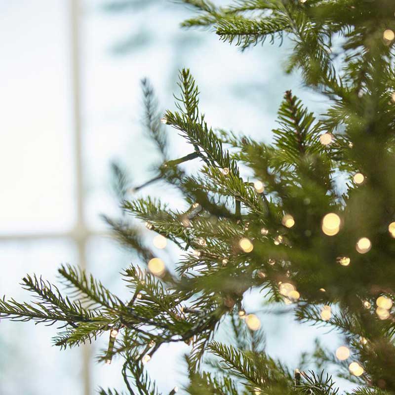 edg_enzo de gasperi albero di natale pino luxury new h 180 cm con 2000 mini led d 100 cm ean 8059824177650