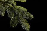 edg_enzo de gasperi edg enzo de gasperi albero di natale pino merano h 210 cm d 132 cm 1268 tips ean 8056372412585
