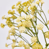 edg enzo de gasperi edg enzo de gasperi gypsophila cespuglio x5 ass pianta artificiale h 40 cm multicolor 1 pz ean 8059824325846
