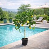 edg enzo de gasperi edg enzo de gasperi limone anti uv x9 con vaso pianta artificiale h 125 cm verde giallo ean 8059824607546