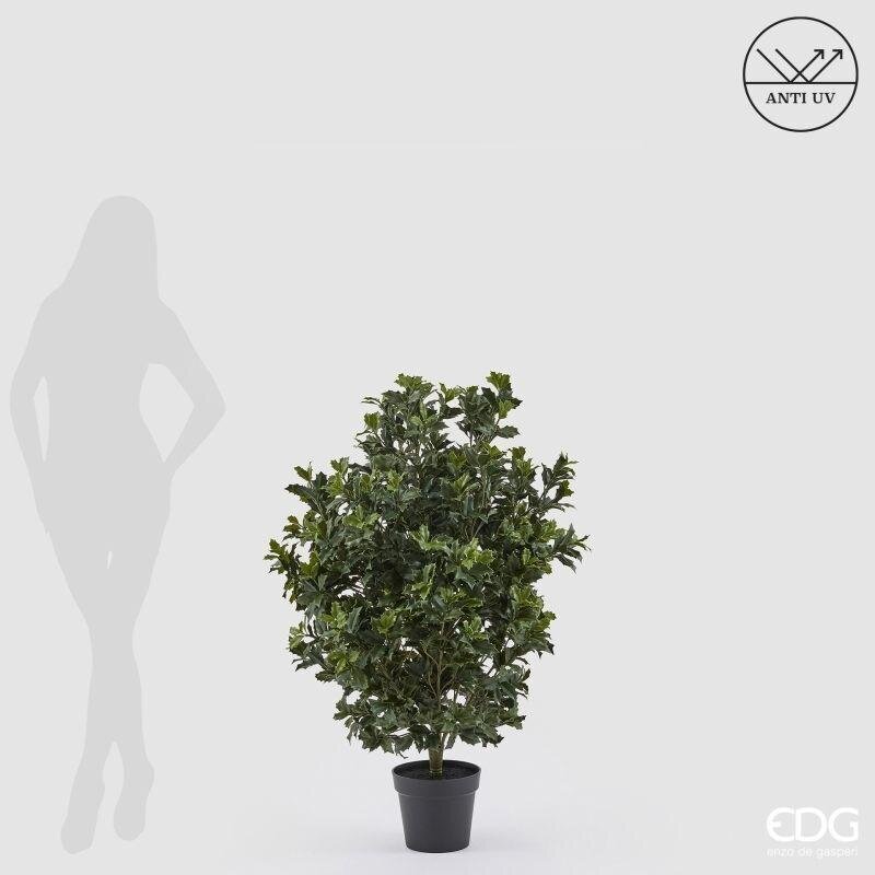 edg enzo de gasperi edg enzo de gasperi pianta artificiale agrifoglio h 121 cm con vaso anti uv verde per interno ed esterno ean 8059824655349