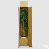 edg enzo de gasperi edg enzo de gasperi palma areca vogue con vaso pianta artificiale h 183 cm verde ean 8059824607393