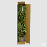 edg enzo de gasperi edg enzo de gasperi dalbergia vogue con vaso pianta artificiale h 180 cm verde ean 8059824607300