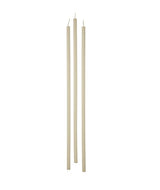 immagine-1-cereria-di-giorgio-cereria-di-giorgio-candele-stelo-09-cm-h-37-cm-12-pz-avorio-ean-8006545063847